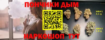 гидра Сланцы