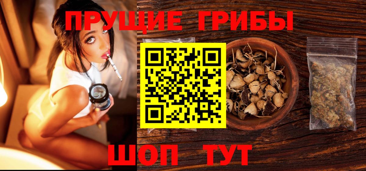 Псилоцибиновые грибы ЛСД Саранск